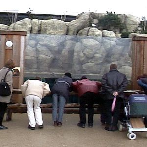 Various pictures of the Rotterdam Aquarium