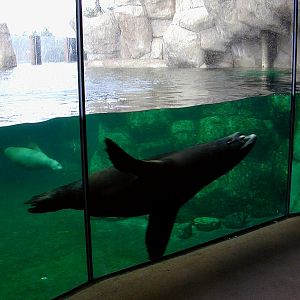 Various pictures of the Rotterdam Aquarium