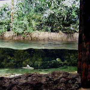 Various pictures of the Rotterdam Aquarium