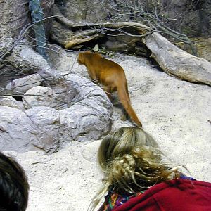 Various pictures of the Rotterdam Aquarium