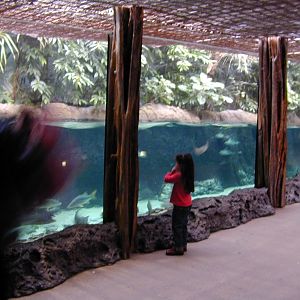 Various pictures of the Rotterdam Aquarium