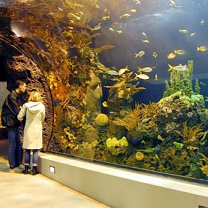 Various pictures of the Rotterdam Aquarium