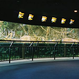 indoor african exhibit