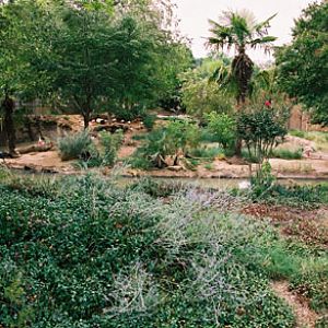 south american bird exhibit