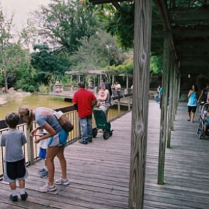 north american boardwalk