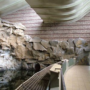 Indoor Tiger Viewing at Tierpark Berlin, 30/08/11