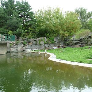 Penguin Exhibit at Tierpark Berlin, 30/08/11