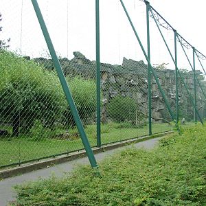 Raptor Aviary at Tierpark Berlin, 30/08/11