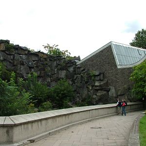 Lion Exhibit at Tierpark Berlin, 30/08/11