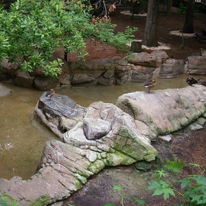 Virginia Aquarium-Aviary