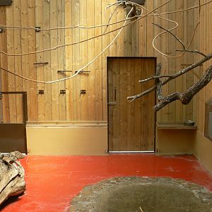 Meerkats, red-billed hornbills and waldrapp ibises exhibit