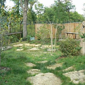 Sumatran tigers exhibit