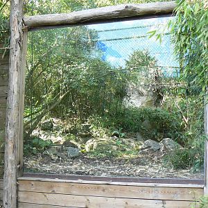 Fishing cats exhibit