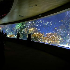 Various Pictures of Valencia Exhibits