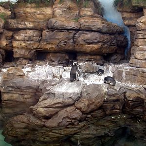 Various Pictures of Valencia Exhibits