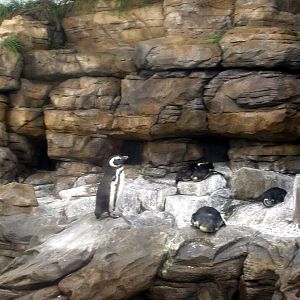 Various Pictures of Valencia Exhibits