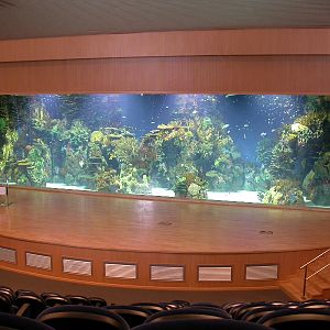 Various Pictures of Valencia Exhibits