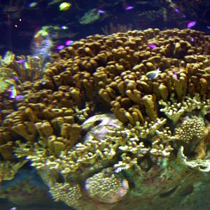 Various Pictures of Valencia Exhibits