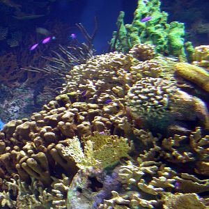 Various Pictures of Valencia Exhibits