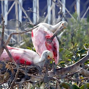 Various Pictures of Valencia Exhibits