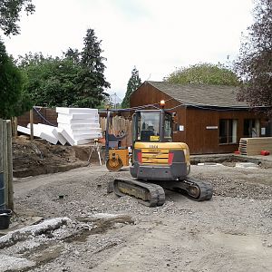Giant Otter Development - 14/09/2011
