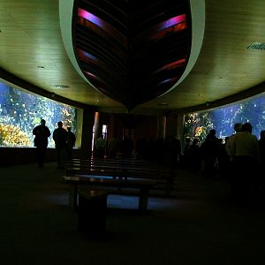 Various Pictures of Valencia Exhibits