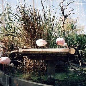 Various Pictures of Valencia Exhibits