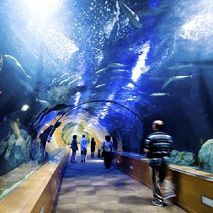 Various Pictures of Valencia Exhibits