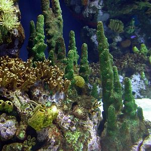 Various Pictures of Valencia Exhibits