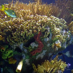 Various Pictures of Valencia Exhibits