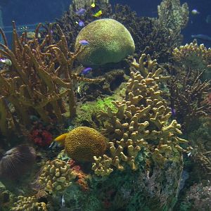 Various Pictures of Valencia Exhibits