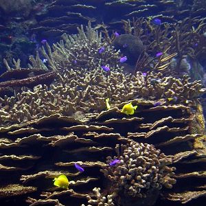 Various Pictures of Valencia Exhibits