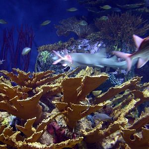 Various Pictures of Valencia Exhibits