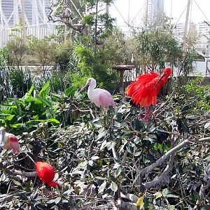 Various Pictures of Valencia Exhibits