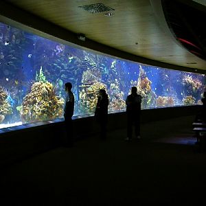 Various Pictures of Valencia Exhibits