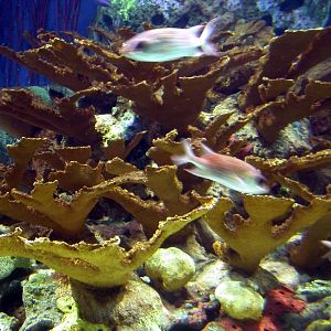 Various Pictures of Valencia Exhibits