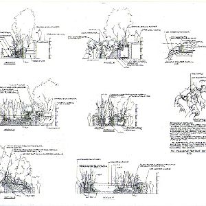 Various Pictures of Valencia Exhibits