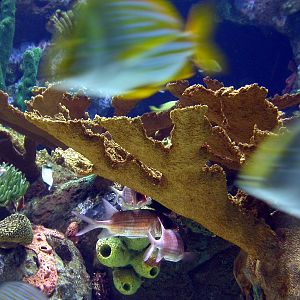 Various Pictures of Valencia Exhibits