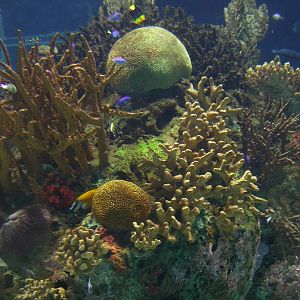 Various Pictures of Valencia Exhibits