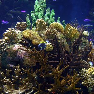 Various Pictures of Valencia Exhibits