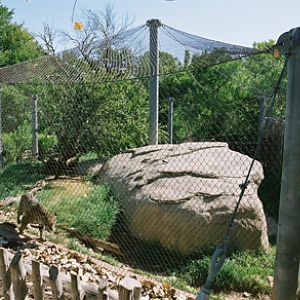 jaguar exhibit