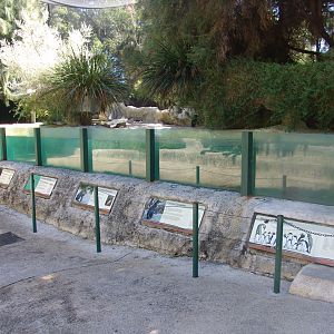 Aviary for Little Penguins (Eudyptula minor) and Bridled Terns (Onychoprion