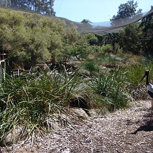 View in the "Australian Wetlands" aviary
