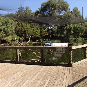 View in the "Australian Wetlands" aviary