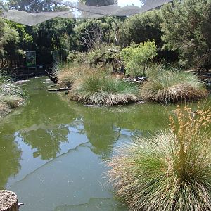 View inside the 'Australian Wetlands