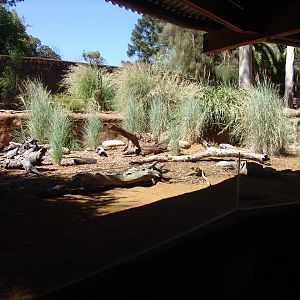Enclosure of the Short-beaked Echidnas (Tachyglossus aculeatus)
