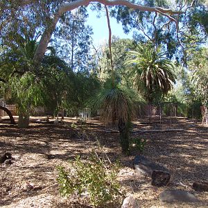 Overview of the 'Australian Bush-walk'.