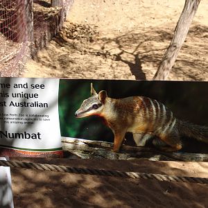 Entrance to the Numbat (Myrmecobius fasciatus) enclosure