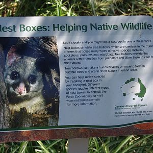 Signage at the zoo: helping wildlife (Brushtail Possum/Trichosurus vulpecul