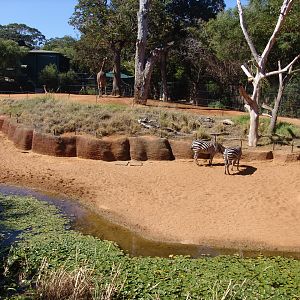 'African Savanne' exhibit